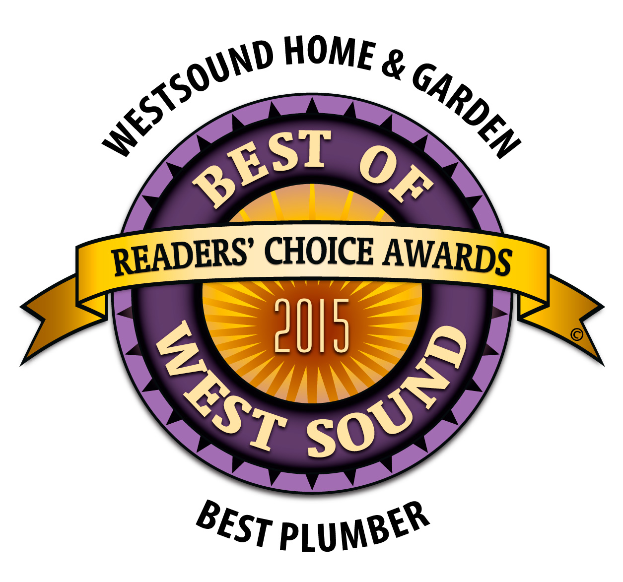 BestOfWestSoundWinnerLogo2015 BestPlumber